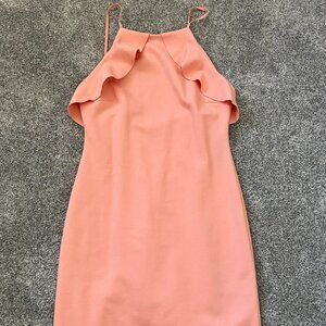 Zara Fitted Dress